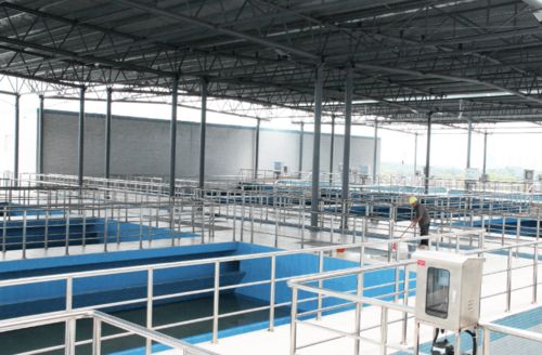 圆梦了！南水水库供水工程正式通水，市民直呼“有点甜”